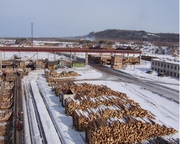 Действующий ЛесПромХоз.